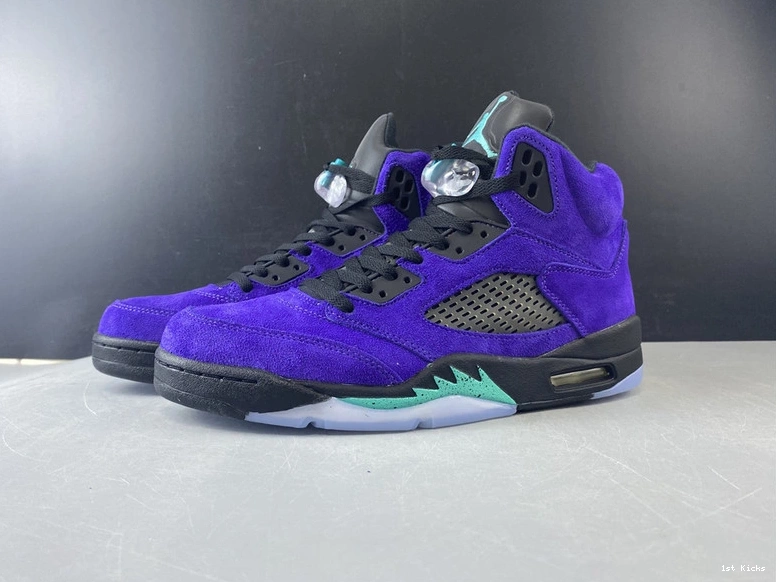  “Alternate 5 Jordan Grape” 136027-500 Air 0204